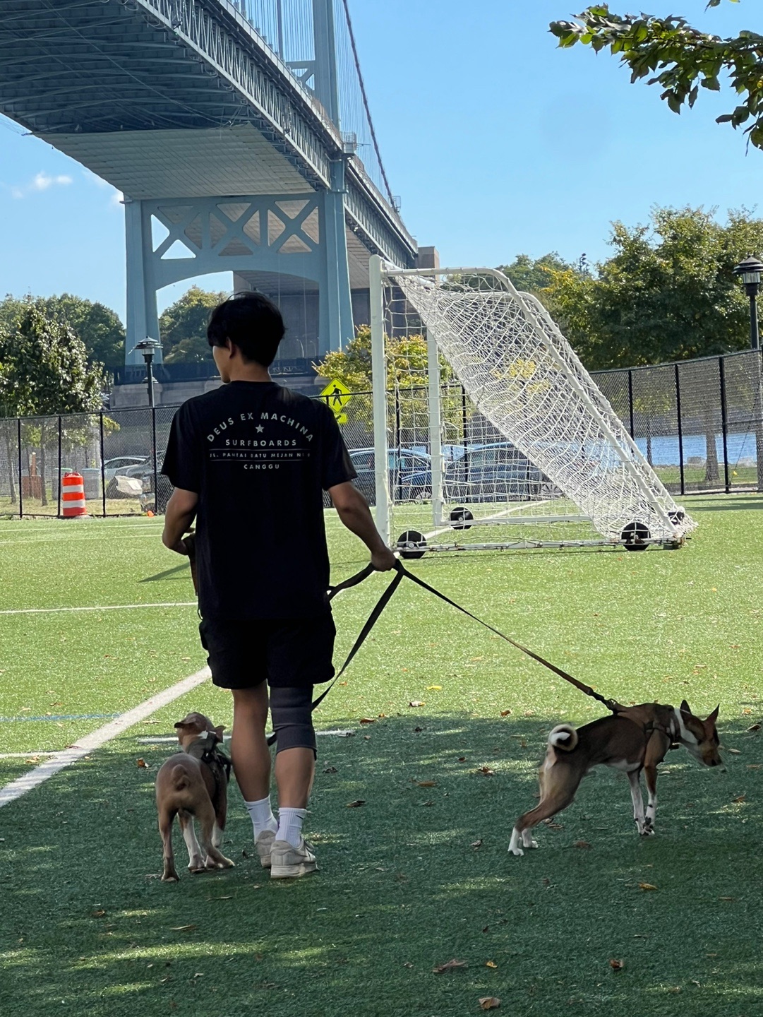 Dog walk